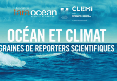 Charte visuel TARA Education "Océan et climat" sur fond bleu (horizon, océan)